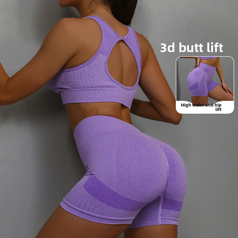 Womens Seamless Yoga Set High Waist Workout Outfit