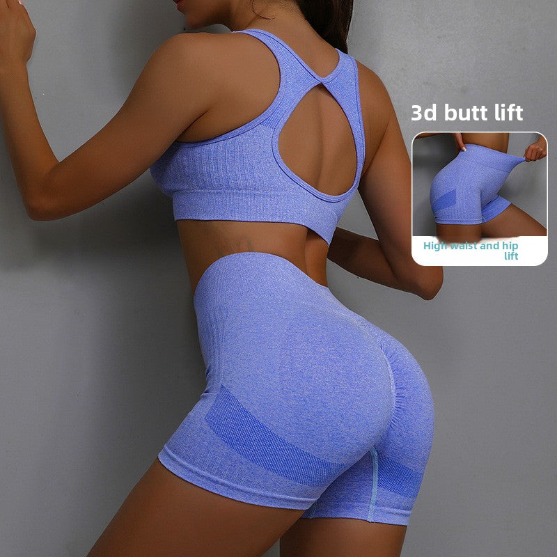 Womens Seamless Yoga Set High Waist Workout Outfit